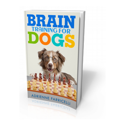 Brain Training For Dogs