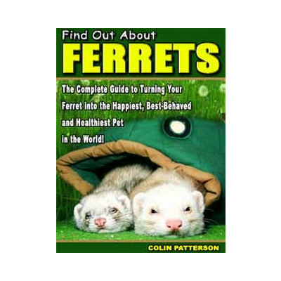Ferret Care and Training Guide